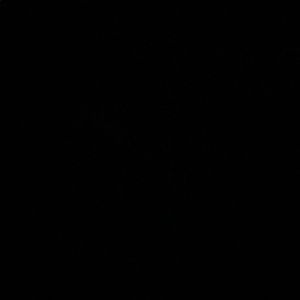 Meet your Posher, Stell